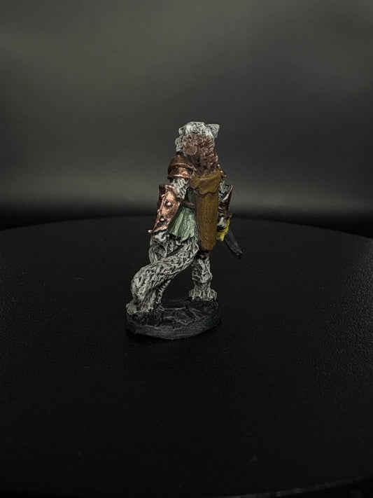 Tabaxi Fighter
