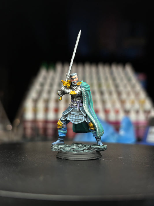 Human Veteran Fighter