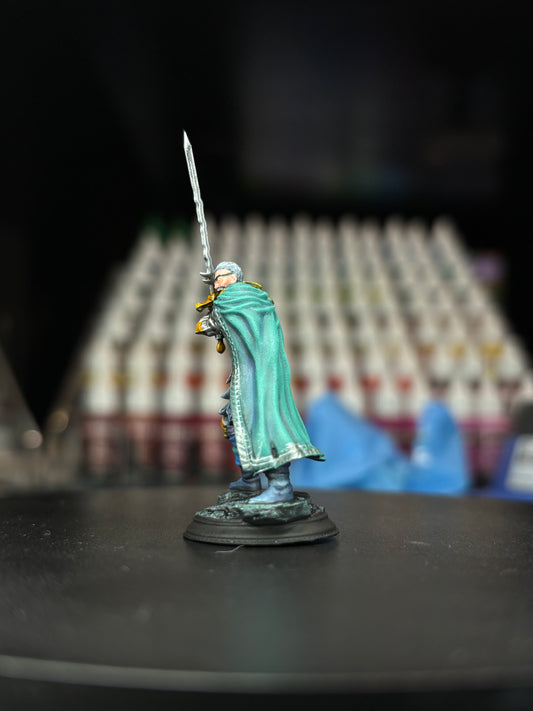 Human Veteran Fighter