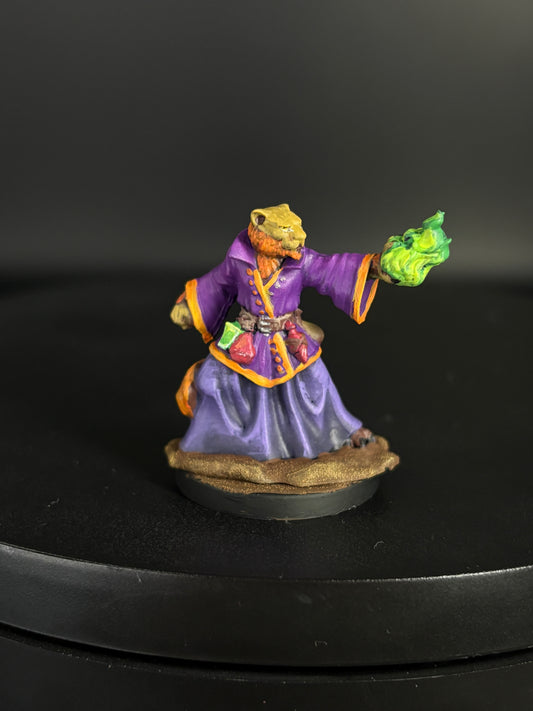 Tabaxi Sorcerer