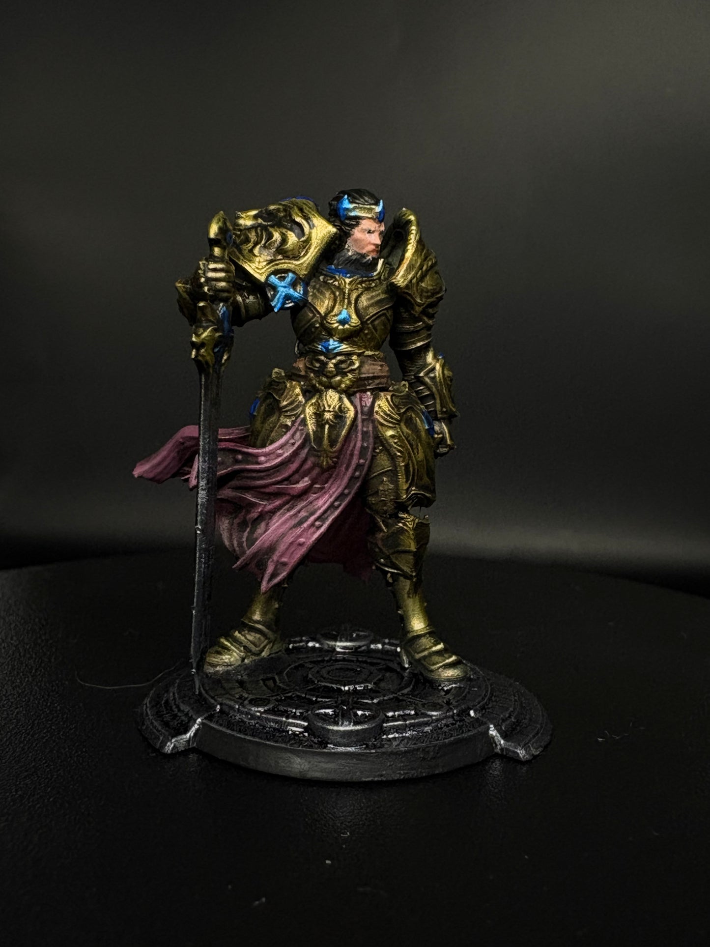 Human Royal Paladin
