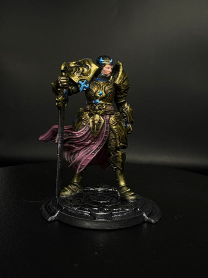 Human Royal Paladin