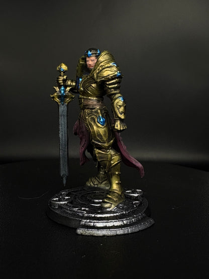 Human Royal Paladin