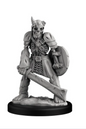 Skeleton Soldier