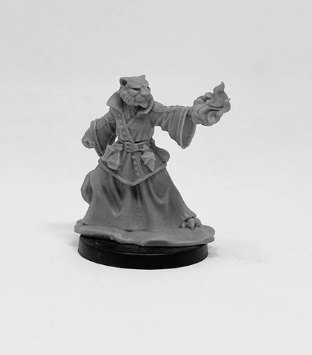 Catfolk Sorcerer
