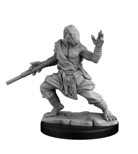 Dragonborn Monk
