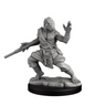 Dragonborn Monk