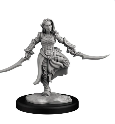 Drow Assassin