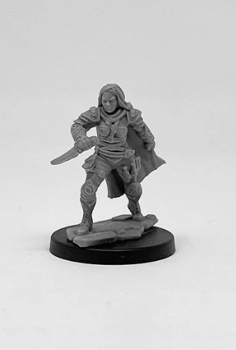 Human Rogue