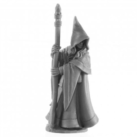 Legends: Anirion, Elf Wizard