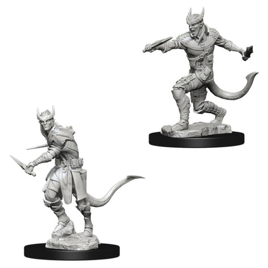 D&D Nolzur's Marvelous Minis: Tiefling Male Rogue